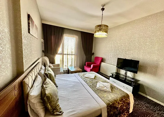 Blue Vip House 公寓 伊斯坦布尔