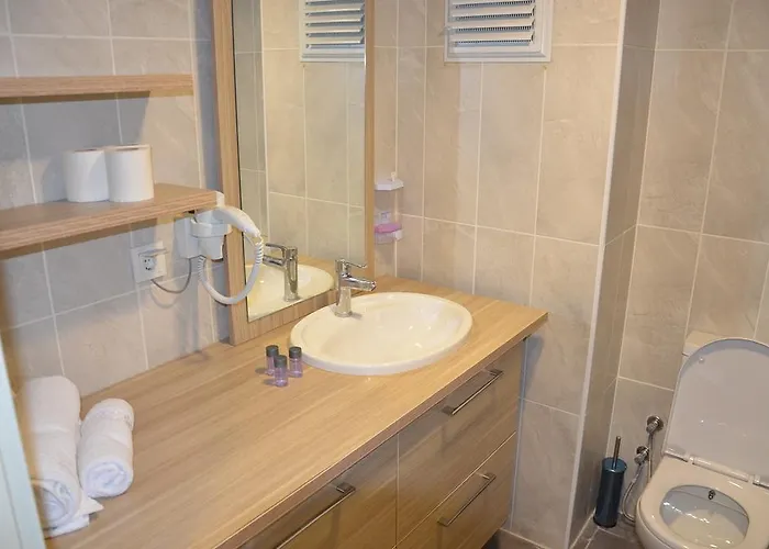 Blue Vip House 伊斯坦布尔