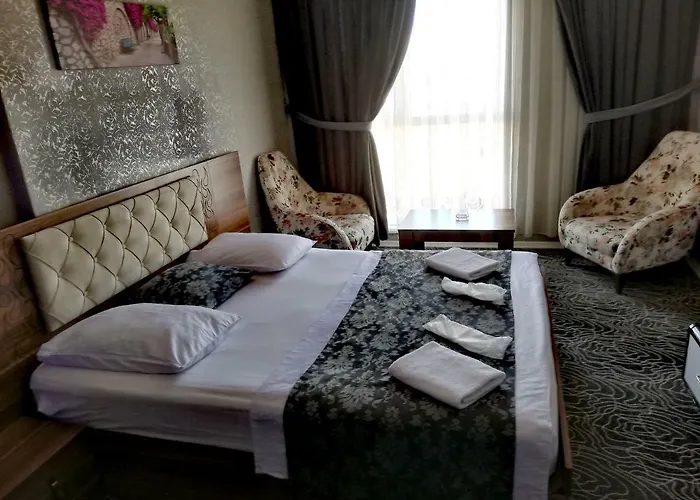 Blue Vip House 公寓 伊斯坦布尔